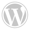 Custom WordPress sites and CMS development by LXE Digital
